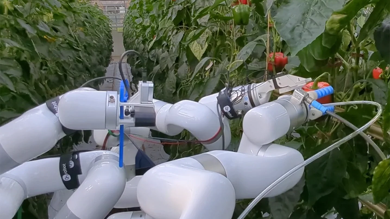 Wenn der Roboter aufs Wort hört